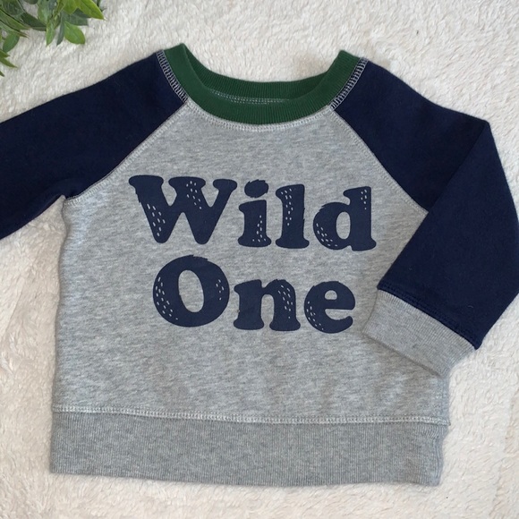 GAP Other - Gap Baby Sweatshirt 12-18M Gray & Navy “Wild One” EUC